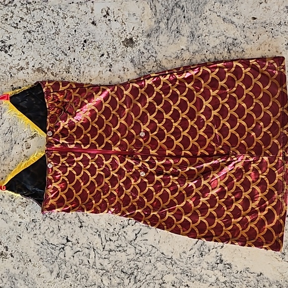 Imperial Dragon Costume - Picture 9 of 10